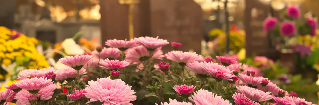 Rosa Blumen als Blumendekoration als Symbol für Erdbestattung in Hannover