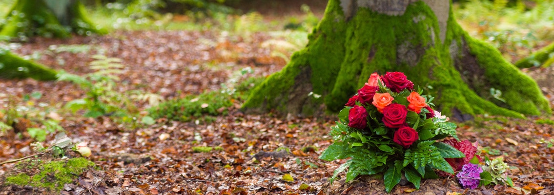 Blumen auf Waldboden bei Waldbestattung