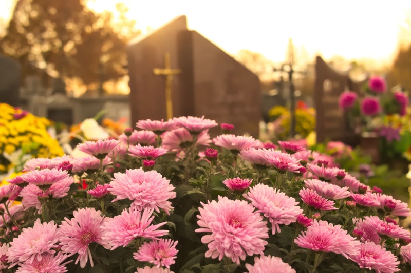 Beisetzung auf einem Friedhof mit Blumen im Vordergrund nach einer Feuerbestattung